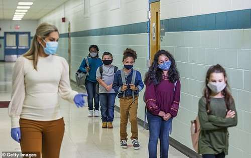 The researchers said harms caused by masks - including hampering children's schooling - were poorly measured in the studies, meaning any small benefit on infection rates may be outweighed (file image)