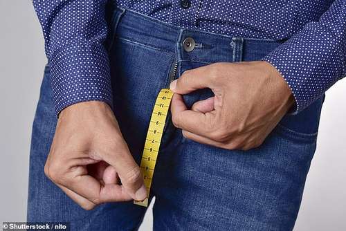 Researchers found that penis length has increased in men over past 30 years. While that may seem like a positive, they fear it is linked to growing infertility levels (file photo)