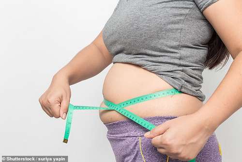 Losing weight (file photo). A semaglutide drug approved for weight loss is to launch in the UK in the spring, the MoS understands, and will be sold by Boots