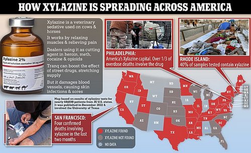The DEA says xylazine has now been detected in 48 out of 50 states in the US. A study published in December and involving 60,000 US adult drug tests showed xylazine was detected in samples from most states (pictured above)