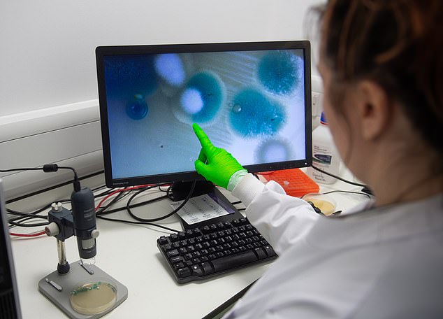 They saw microbiologists analyse a set of swabs taken from 11 shared kitchen areas at four different workplaces. Pictured: Scientists looking at the bacteria found on coffee machines