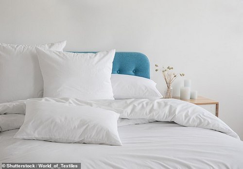 On week three I’m averaging five hours’ sleep a night which, for me, is amazing. File image