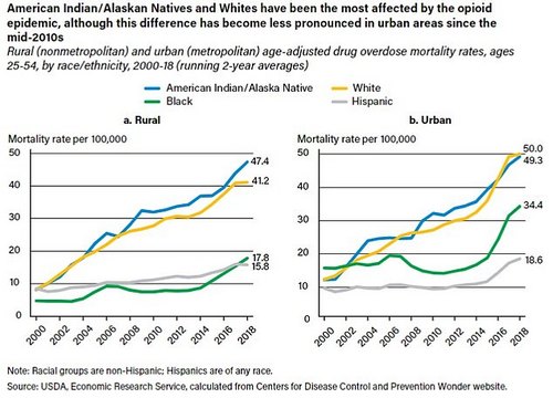 The opioid epidemic has not affected all racial/ethnic groups equally. Differences between White and American Indian/Alaskan Native populations and Hispanic and Black populations are stark, especially in rural areas, and have only increased over time