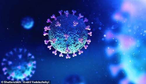 In April and May 2020, with NHS hospitals at full capacity because of the virus, elective surgeries such as hip replacements were put on hold