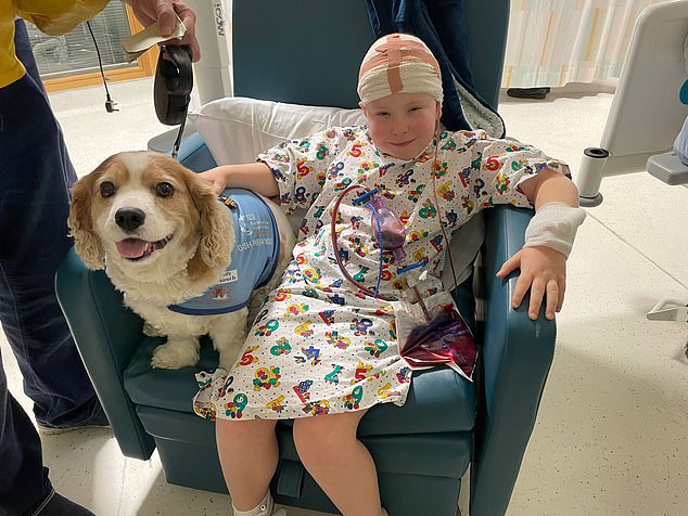 Luke pictured after surgery with the therapy dog at Great Ormond Street Hospital in London