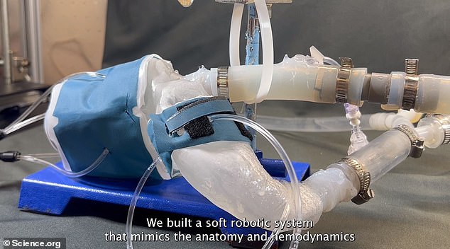 This image shows the model with tubes attached to pump air in and out - which mimics blood. The doctors said it began to work just like a real heart. The model is of a left ventricle and aorta