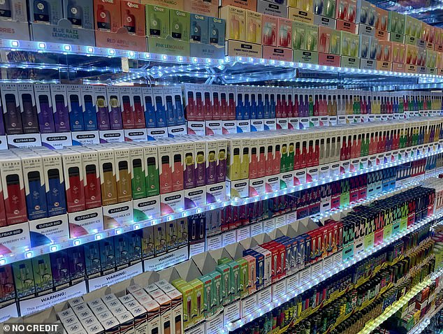 Elf bars, one of Britain's most-used vapes, could be seen filling shelves in many of the shops visited