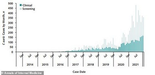 The number of clinical and screening C auris cases reported to the CDC between 2013 and 2021