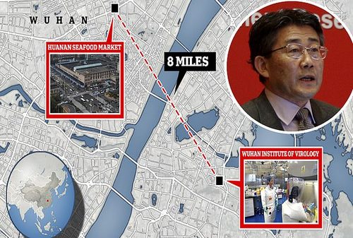 Beijing’s secret Covid lab leak probe