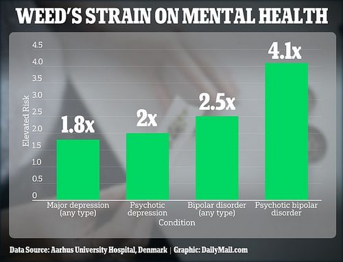 The analysis of 6.6 million people found that chronically smoking cannabis raises the risk of psychotic bipolar disorder by 4.1 times, and any type of depression by 1.8 times