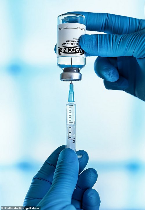 The annual flu vaccine currently protects against four strains of the virus which scientists believe are most likely to be in circulation in the coming winter. [File image]