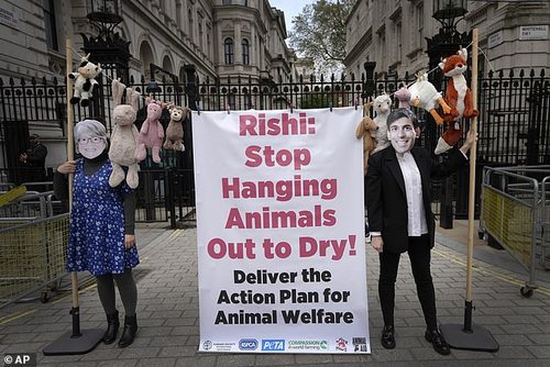 PETA is no stranger to provocative campaigns, earlier this month activists dressed up&nbsp;Prime Minister Rishi Sunak and Environment Secretary Therese Coffey in protest of a lack of action on animal welfare