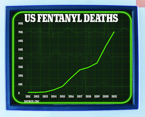 Deaths caused by fentanyl in the US surged in the 2010s. At the start of the decade, 2,666 Americans died of a fentanyl overdose. This figure shot up to 19,413 by 2016. Covid made the situation worse, with a record 72,484 deaths recorded in 2021
